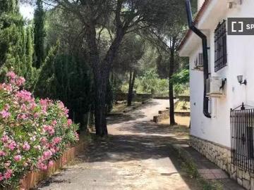 Córdoba, Córdoba, Andalucía, Andalucía