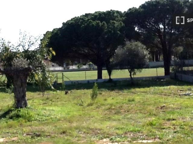 Piso en alquiler de 4 habitaciones en Chiclana de la Frontera