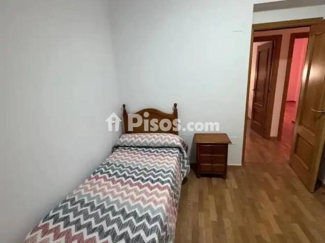 Piso en alquiler en Málaga Capital