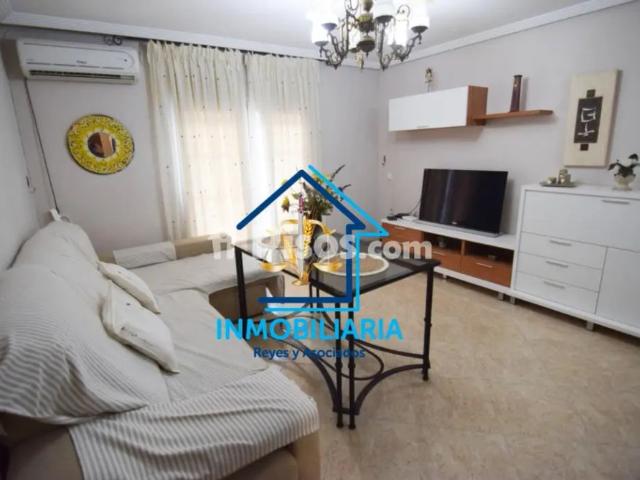 Piso en alquiler en Miralbaida