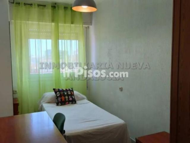 Piso en alquiler en Oliveros Altamira Barrio Alto