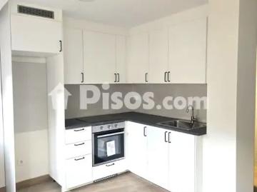 Piso en alquiler en Avenida Camelias