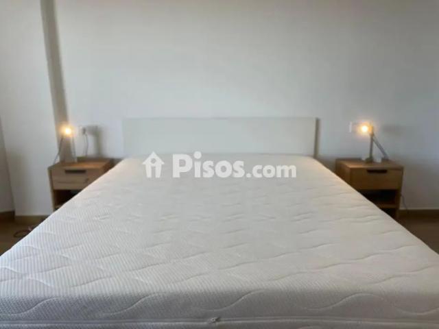 Piso en alquiler en Avenida Carlota Alessandri