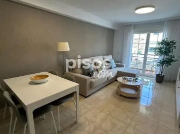 Palmeral de las Sorpresas, Casco Antiguo de Málaga, Málaga, Málaga, Andalucía, Andalucía