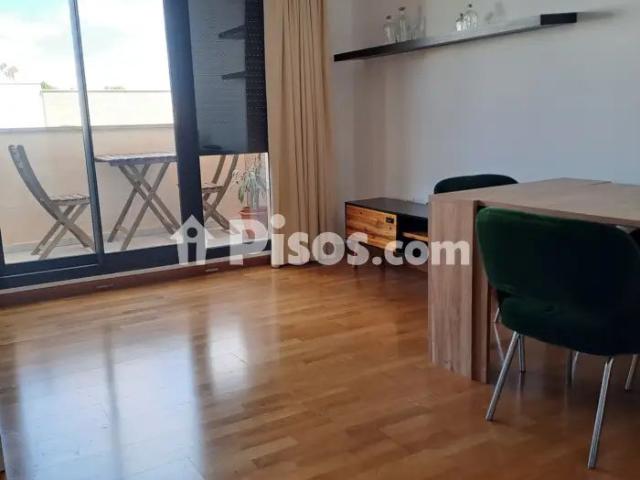Piso en alquiler en Avenida de España