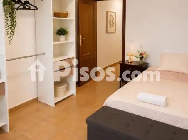 Piso en alquiler en Avenida de los Rectores