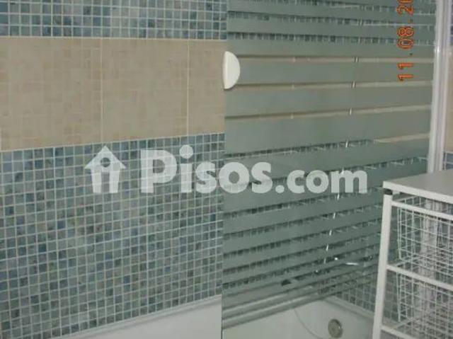 Piso en alquiler en Avenida de la Constitución, cerca de Calle de Rosalía de Castro
