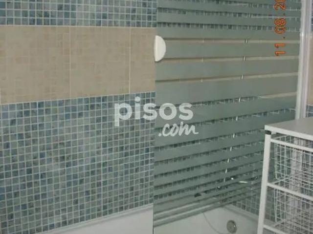 Piso en alquiler en Avenida de la Constitución, cerca de Calle de Rosalía de Castro