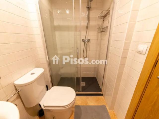 Piso en alquiler en Avenida de la Filosofía