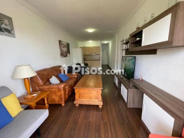 Piso en alquiler en Avenida de Tenerife