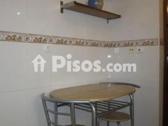 Piso en alquiler en Avenida del Parque