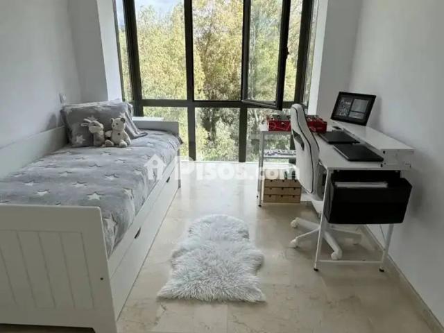 Piso en alquiler en Avenida del Prado