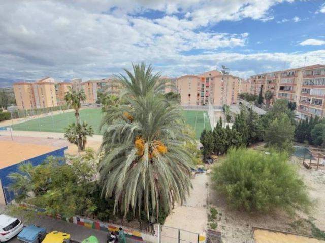 Piso en Alquiler en Alicante Alacant