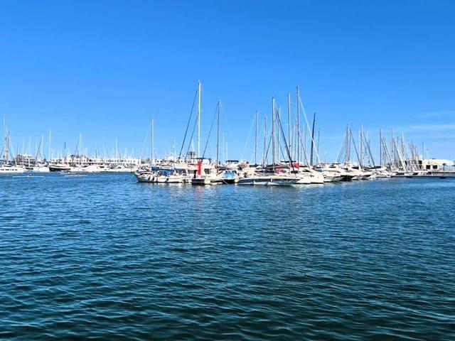 Piso en alquiler en Alicante / Alacant, Alicante Costa Blanca