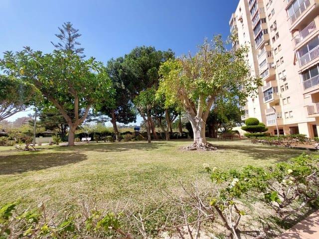 Piso en alquiler en Alicante / Alacant, Alicante Costa Blanca