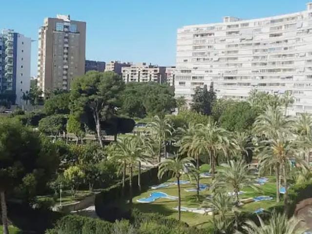 Piso en alquiler en Alicante / Alacant, Alicante Costa Blanca