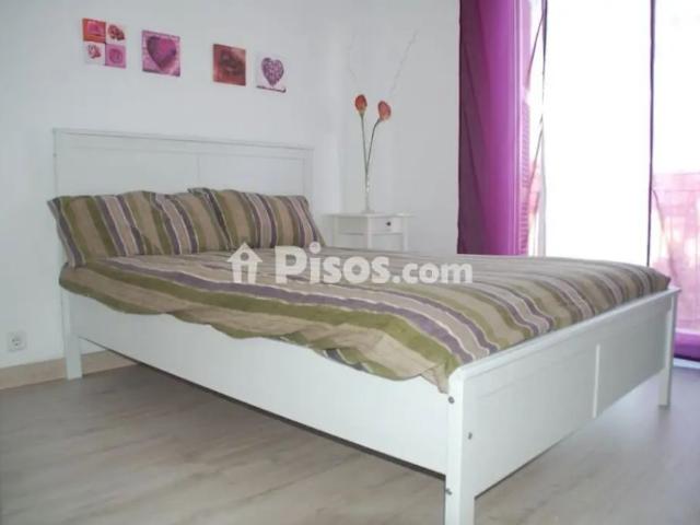 Piso en alquiler en Antiguo