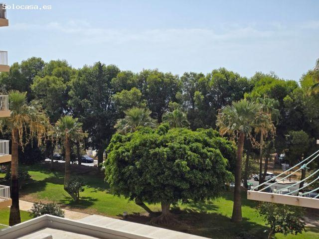 Piso en Alquiler en Arroyo De La Miel Málaga