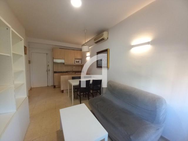 Piso en alquiler en Barcelona Sarrià Sant Gervasi APARTAMENTO EN EL PUTXET AMUEBLADO