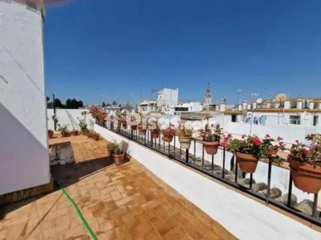 Piso en alquiler en Calle Mezquita