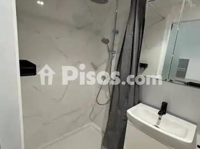 Piso en alquiler en Calle de Manuel González Martín