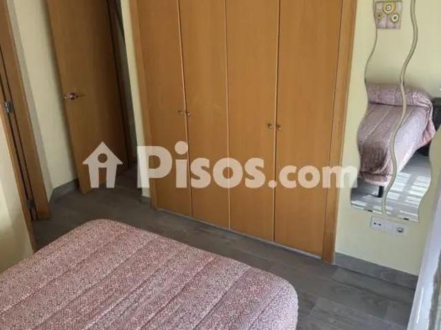Piso en alquiler en Calle de Manuel Gutiérrez Cano, 1