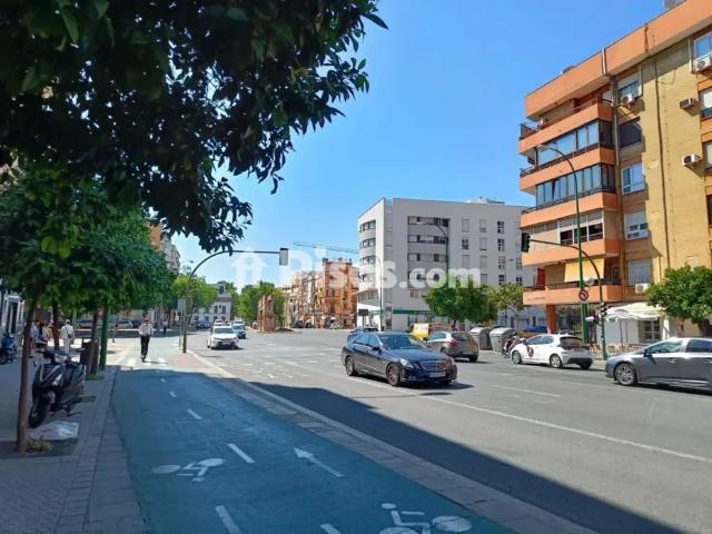 Piso en alquiler en Calle de Luis Montoto, 24, cerca de Calle José María Moreno Galván