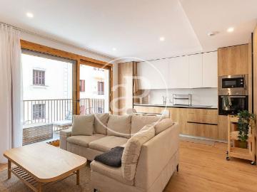 Piso en alquiler en calle De la Mare de Déu del Remei, Barcelona, de 50 m² 2 habitaciones por 2.250