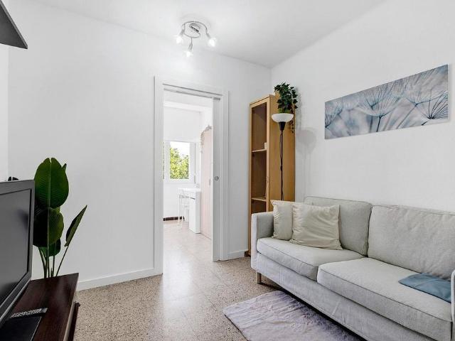 Piso en alquiler en calle De la Moreneta, Salt, de 81 m² 4 habitaciones por 1.020