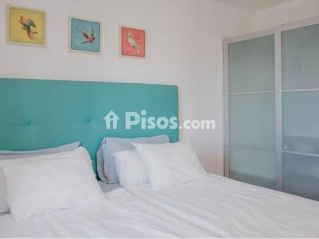 Piso en alquiler en Calle de las Pitas