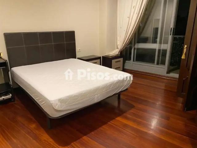 Piso en alquiler en Calle Doctor Carlos Colmeiro Laforet, 10