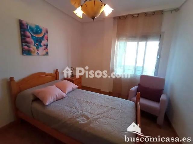Piso en alquiler en Calle Doctor Fleming