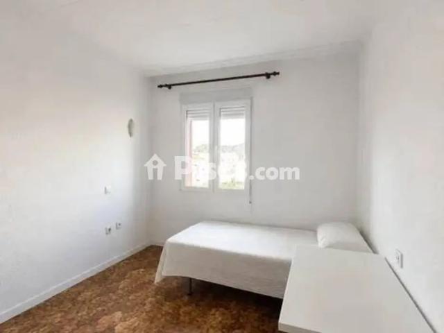 Piso en alquiler en Calle José Pérez Miralles