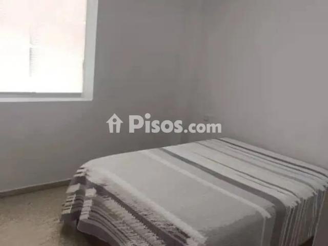 Piso en alquiler en Calle Pelayo
