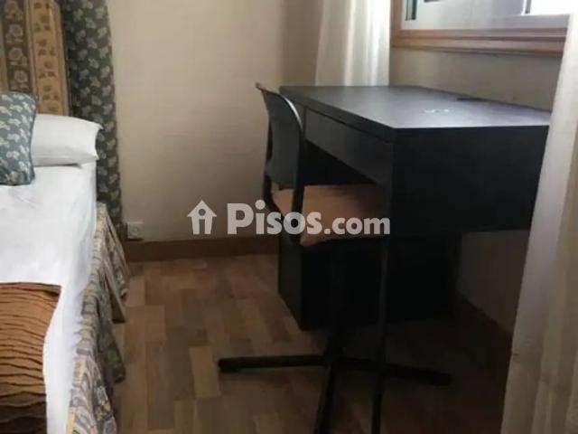 Piso en alquiler en Calle Ru Pizarro, 46