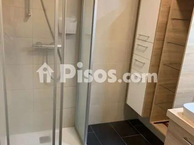 Piso en alquiler en Camino de los Lirios, 16