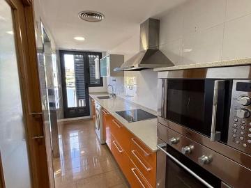 Eucaliptus, Valencia, Urbanización Tros Alt, Valencia, Comunidad Valenciana, Comunidad Valenciana