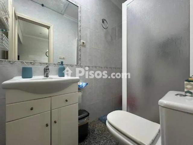 Piso en alquiler en Ciudad Jardín