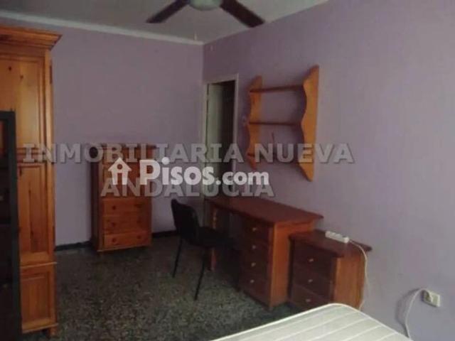 Piso en alquiler en Ciudad Jardín Tagarete Zapillo