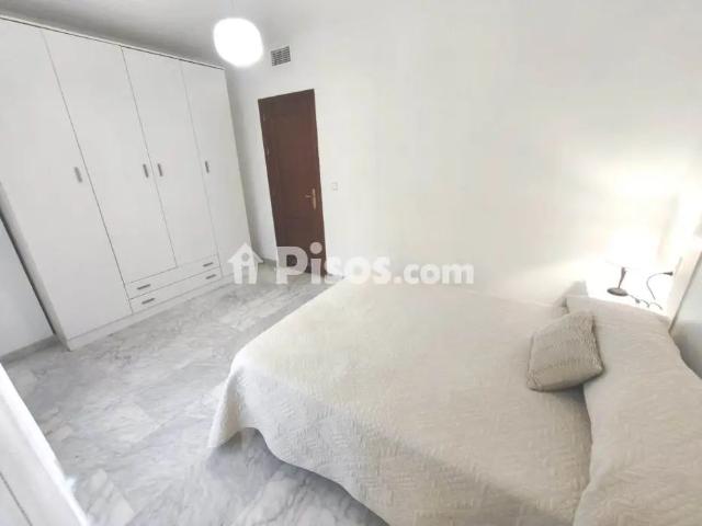 Piso en alquiler en Ciudad Jardín Zoco