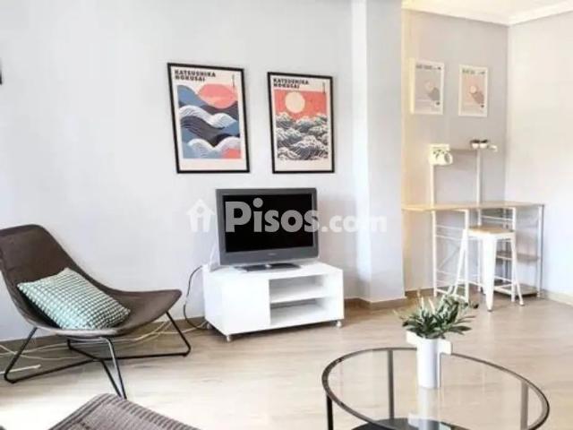 Piso en alquiler en Diseminado Agustinas