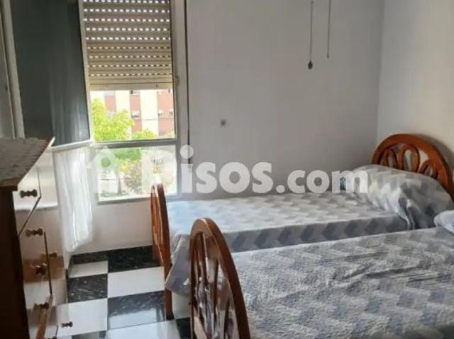 Piso en alquiler en El Cartabón
