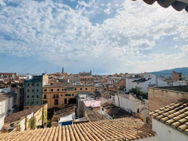 PISO EN ALQUILER EN EL CENTRO DE PALMA