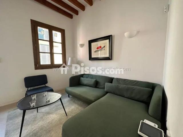 Piso en alquiler en El Sindicat