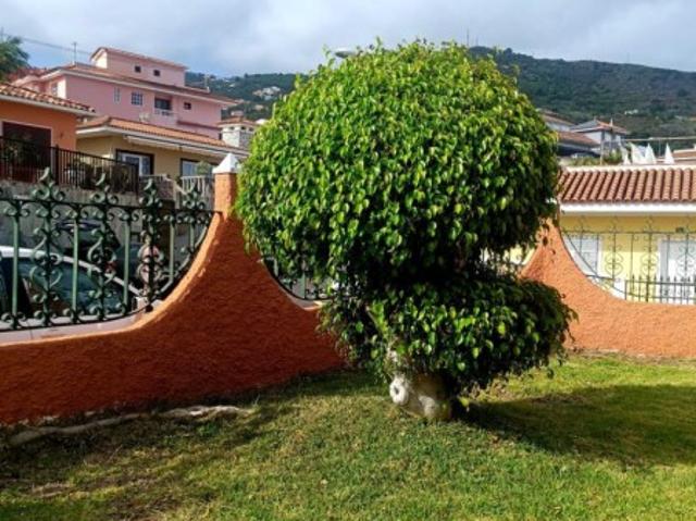 Piso en Alquiler en Icod de los Vinos, Santa Cruz de Tenerife