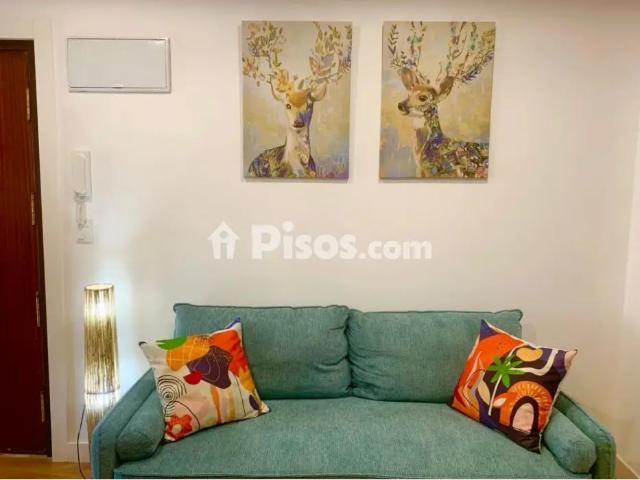 Piso en alquiler en Puerto Chico