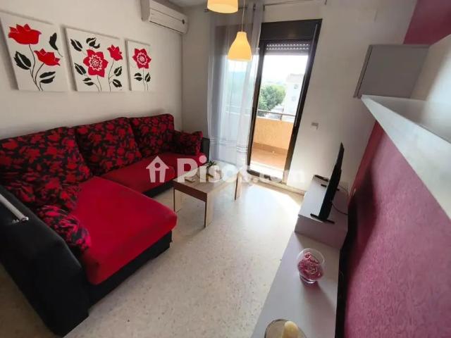 Piso en alquiler en Pago San José Princi Jerez