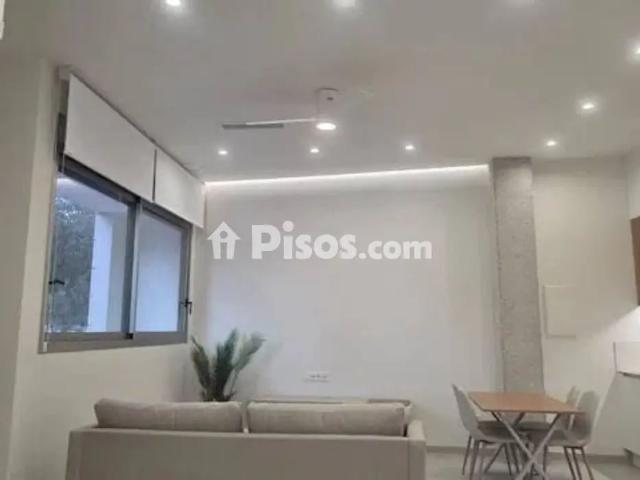 Piso en alquiler en Paseo Misionero Luis Fontes Servet