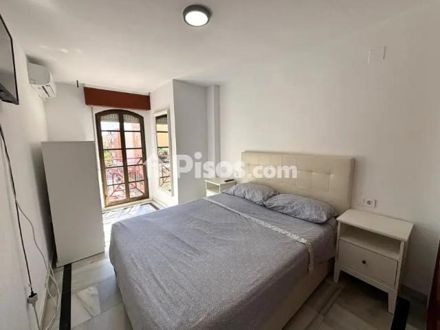 Piso en alquiler en Paseo de la Salud