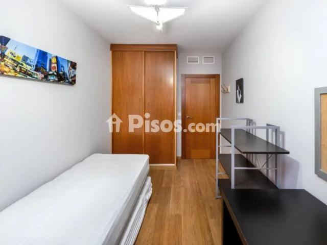 Piso en alquiler en Parque Lagos